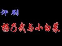 评剧【杨乃武与小白菜】石家庄评剧团演出